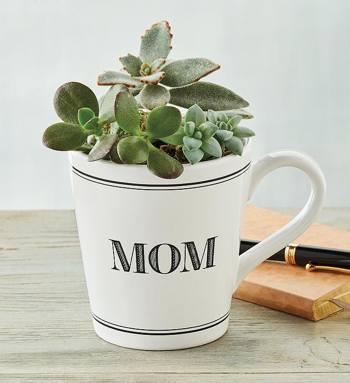 Mother's Day Mug with Succulents 